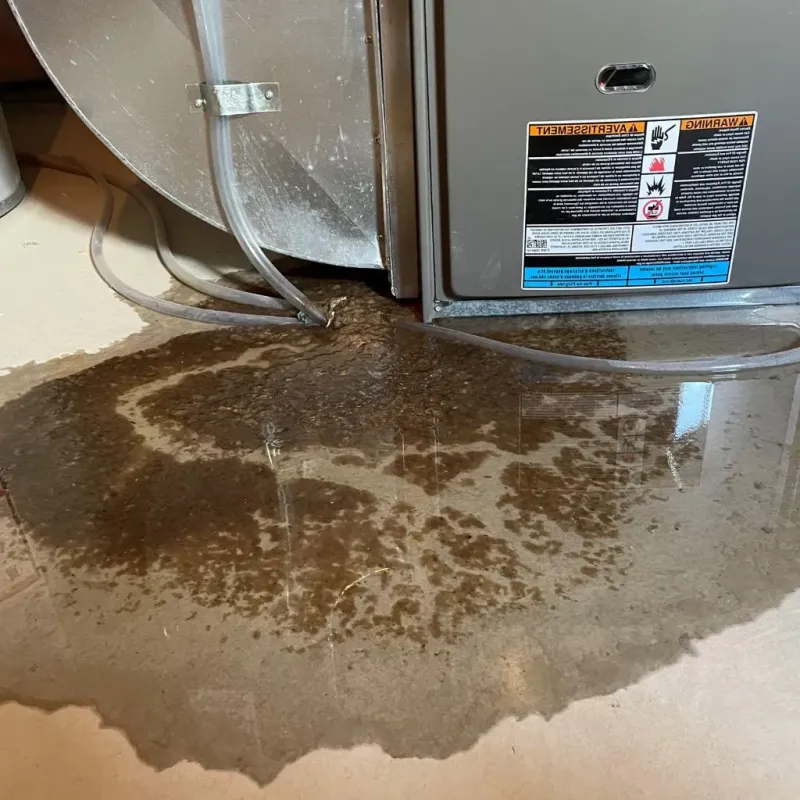 Pipe Burst and Leak Restoration in Elkhart, IN