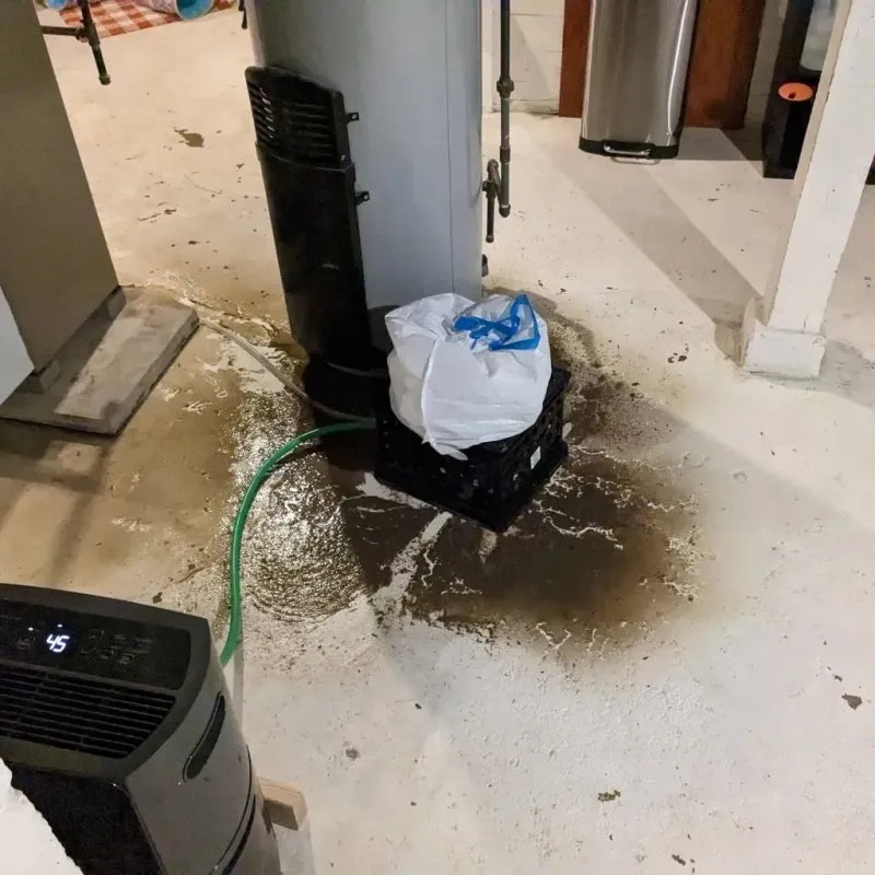 Sewage Backup Cleanup Service in Elkhart, IN